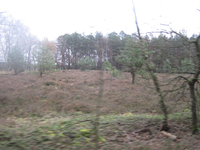 CTF Celle 017